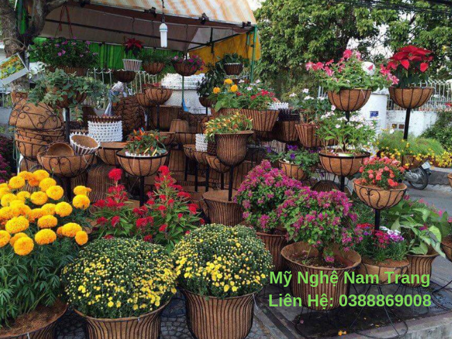 Chậu xơ dừa trồng hoa my nghệ