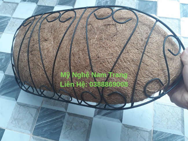 Chậu xơ dừa bán nguyệt treo tường