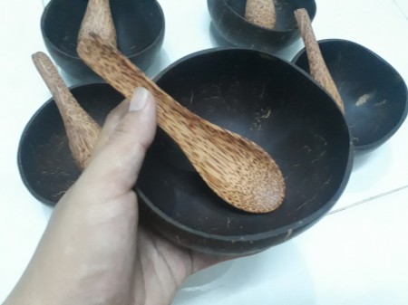 Combo 5 bát gáo dừa muỗng gỗ 15cm